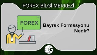 Bayrak Formasyonu Nedir [upl. by Airla]