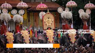 Kaanthaa Njaanum Varaam  Thrissur Pooram Song 2022 2023 [upl. by Illom]