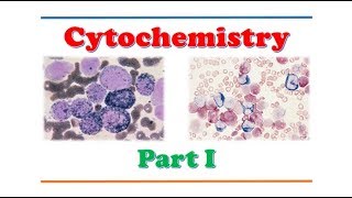 Hematology 🔤  Cytochemistry  Part I [upl. by Irtimid133]