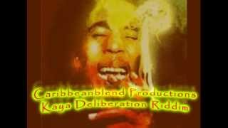 Kaya Deliberation Riddim Rasta Herbalist Music ReggaeDub Made with Reason 6 [upl. by Reames49]