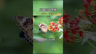 一曲梁祝成絕響，人間再無巫漪麗！當她觸碰琴鍵的那一刻，世界安靜了，這是屬于我們自己的名族經典！純音樂 音樂治愈1 [upl. by Florio271]