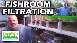 How to Filter an Aquarium Fish Room [upl. by Ennagem603]