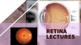 RETINA lecture 29 RETINOBLASTOMA with all IMPORTANT details [upl. by Yeneffit967]