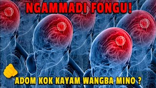 Ngammadi Fongu  Adom Kok Kayam Wangba Mino [upl. by Lisk366]