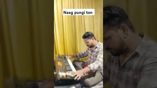 new sapera naag pungi by Hemendrra panchal viralvideo tranding music song dj [upl. by Monie]