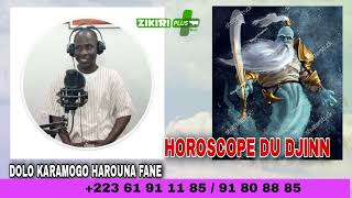 DOLO KARAMOGO HAROUNA FANE  LES DJINN [upl. by Nyram]