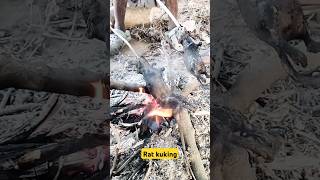 Chuha pkana rat kuking village life cuking [upl. by Icyak]