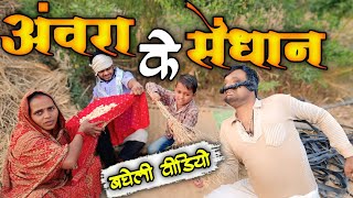 अंवरा के सेंधान  Awara Ke sedhan  Bagheli Comedy Video 🤔 [upl. by Feodor]