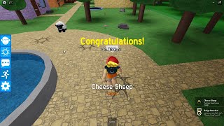 How to find Cheese Sheep in Find the Sheep Roblox [upl. by Atin]