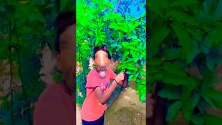 Lakdi ka Kathi 🥳 DJ remix 🤪 short 😋 viral YouTube 😳 funny [upl. by Dranyar933]