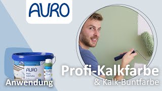 AURO Anwendung Kalkfarben und KalkBuntfarben [upl. by Nickey824]