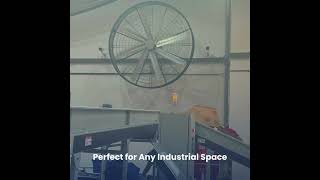 Industrial Wall Fan  Space Saving Design and Easy Installatioin [upl. by Tomkins885]