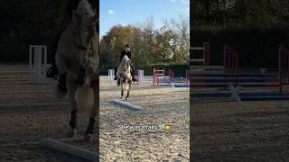 FAIL 🧚🏻🌟 pferd equestrian [upl. by Sanfred513]