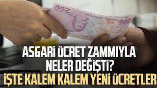 ASGARİ ÜCRET ZAMMI AÇIKLANDI VE NELER DEĞİŞTİ AİLE DESTEK PAKETİ ENGELLİ AYLIĞI EVDE BAKIM MAAŞI [upl. by Kienan]