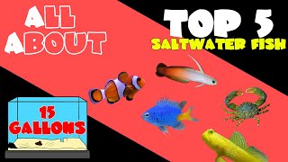 Top 5 Fish for 15 Gallon Saltwater Tank [upl. by Leith318]