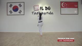 Taegeuk 3 Jang Green Belt Poomsae [upl. by Carrington]