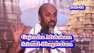 King Gajendra Moksha  Srimad Bhagavatam Part14  Damodara Deekshidar  Sringeri Bharati Vidyashram [upl. by Inacana838]