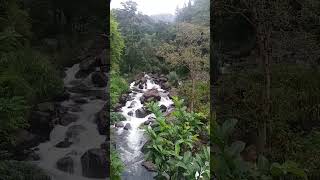 Balangoda Kalupahana WeliOya waterfall  wangedigala camping hiking srilanka balangoda waterfall [upl. by Kiryt]