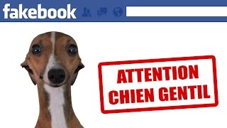 Les animaux sur Facebook [upl. by Hamnet]