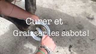 Tuto n°5 Curer et graisser les sabots [upl. by Seuqram334]