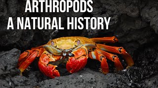 Arthropods A Natural History Biology Anatomy and Species [upl. by Einahteb]