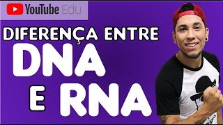 Aula 29 Diferenças entre DNA e RNA  Biologia com Patrick Gomes [upl. by Converse684]