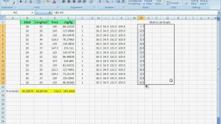 Matriz de varianzas y covarianzas Variance covariance matrix Excel [upl. by Ahsaeym631]