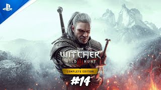 Un sorceleur en vadrouille à Velen  The Witcher 3 Wild Hunt PS5FR [upl. by Alolomo]