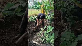 Janji prabowo untuk petani farming agriculture farmer petani [upl. by Netnerb]