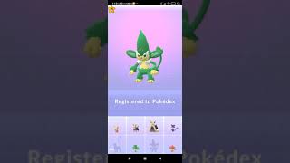 Evolving PANPOUR PANSAGE PANSEAR into SIMIPOUR SIMISAGE SIMISEAR  Pokemon Go  100IV [upl. by Stoughton681]