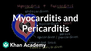 What is myocarditis and pericarditis  Circulatory System and Disease  NCLEXRN  Khan Academy [upl. by Esnohpla4]