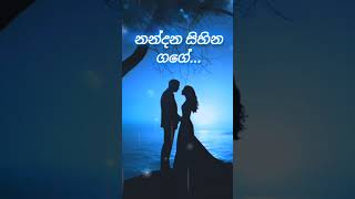 නන්දන සිහින ගගේ Nandana Sihina Gage Sangeeth Wijesooriya sangeethwijesooriya [upl. by Ahsille827]