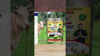 pashuseva cattlefeed milkincrease feedformula animalfeeds uddergrowth udderhealth [upl. by Ken]