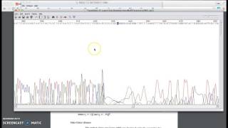 Analyzing DNA Sequences Using MEGA amp BLAST [upl. by Newra438]