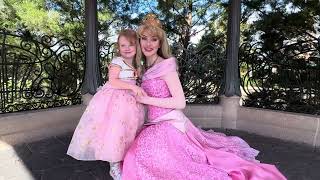 Princess Aurora Meet and Greets at Epcot Cinderella’s Royal Table and Akershus Royal Banquet Hall [upl. by Teryl]