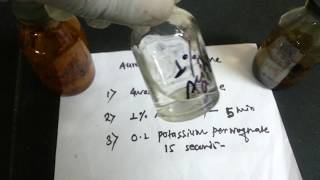 Auramine rhodamine staining procedure [upl. by Necyla]