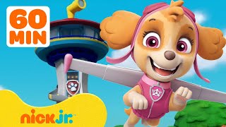 PAW Patrol Skyes BEST Lookout Tower Rescues w Marshall amp Skye  1 Hour Compilation  Nick Jr [upl. by Niawd]