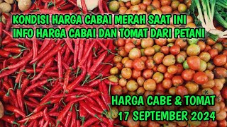 Harga cabai merah hari ini 17 September 2024  Info harga tomat dan cabai saat ini di Jawa Timur [upl. by Gerik]