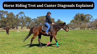 Horse Riding Trot and Canter Diagonals Explained  Horse Riding Tutorial  Equestrian [upl. by Kciregor]