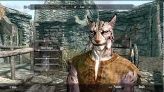 Skyrim Khajiit character creation [upl. by Ulysses]