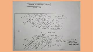 Zonation in mangrove  colonization amp succession inbare ground [upl. by Ontine600]