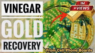 Gold Recovery Using Vinegar  White Vinegar Gold Recovery  Vinegar Gold Recovery from PCB [upl. by Ahsietal]