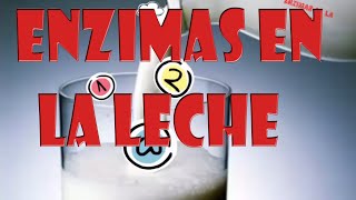 Enzimas de la leche [upl. by Tris226]