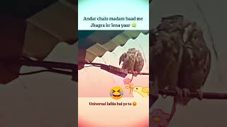 trending now 😂😂youtubeindia ytshort ytshorts viralvideo viralshorts universe song funny [upl. by Fridell]