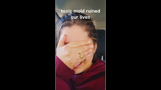 mold moldillness CIRS blackmold toxicmold aspergilluspenicillium chaetomium stachybotrys [upl. by Kamerman967]