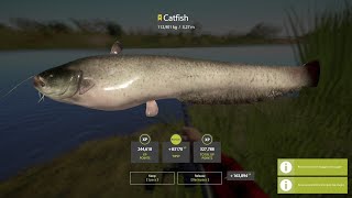 catfish trophy rf4 [upl. by Adaner914]