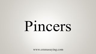 How To Say Pincers [upl. by Arella252]