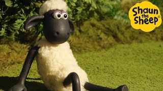 Shaun the Sheep 🐑 Lazy Day Cartoons for Kids 🐑 Full Episodes Compilation 1 hour [upl. by Ammeg]