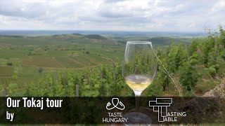 Taste Hungary Wine Tour to Tokaj [upl. by Tteirrah683]