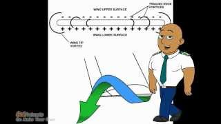 what causes wing tip vortices [upl. by Edrahs]